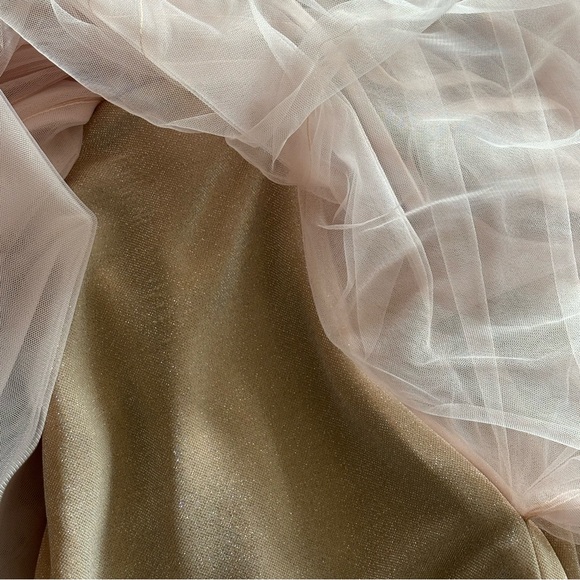 Milla Misty rose tulle midi dress with a corset bustier size XS - Picture 11 of 14